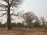 IMG_5448.JPG