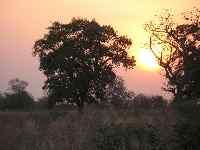 IMG_5481.JPG